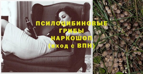 а пвп мука Богородицк